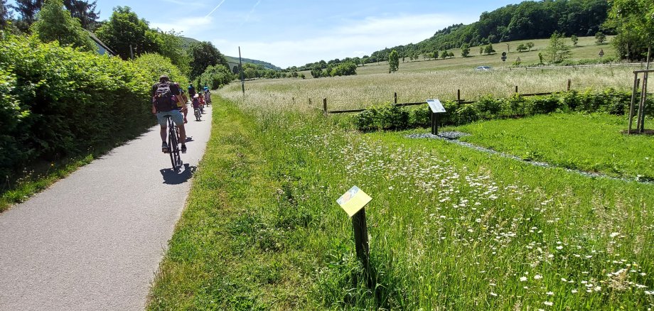 Ruwer-Hochwald-Radweg