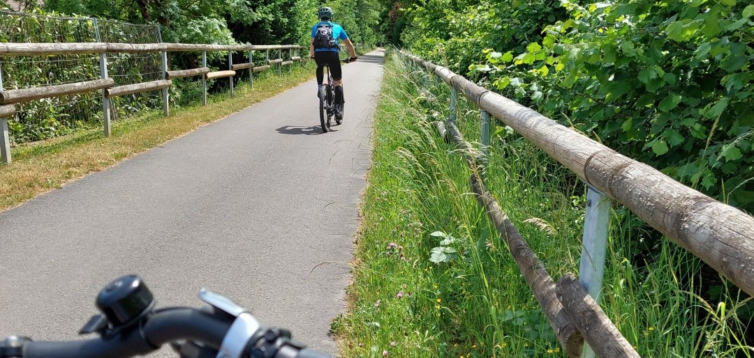 Ruwer-Hochwald-Radweg
