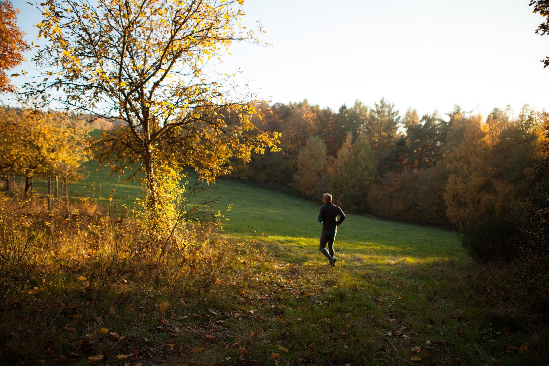Jogger in Herbstlandschaft