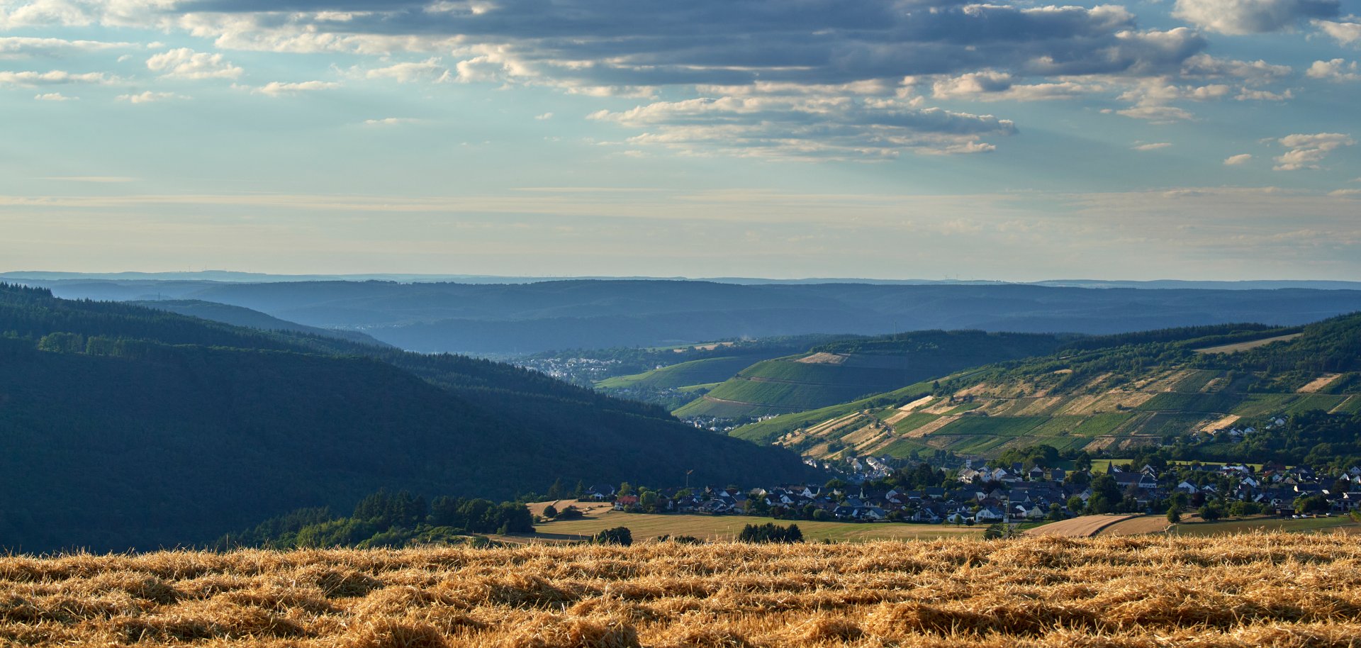 Ausblick auf hügelige Landschaft samt Weinbergen und Feldern