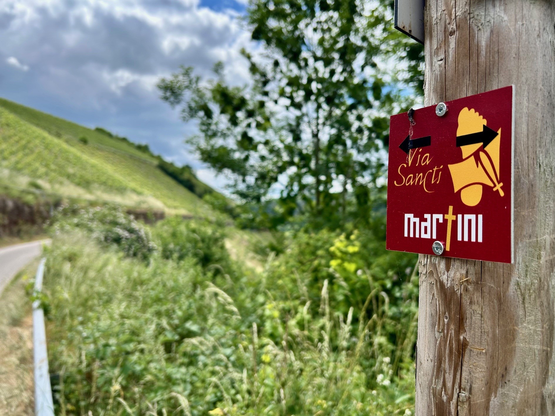 Logo Via Martini mit Weinbergen im Hintergrund