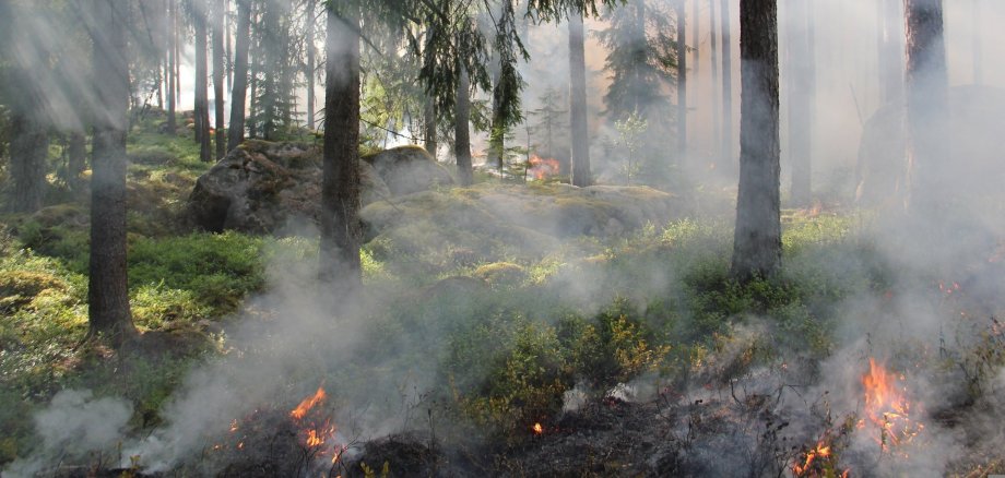 Waldbrand